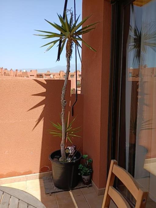 Apartamento Con Vistas El Médano Dış mekan fotoğraf